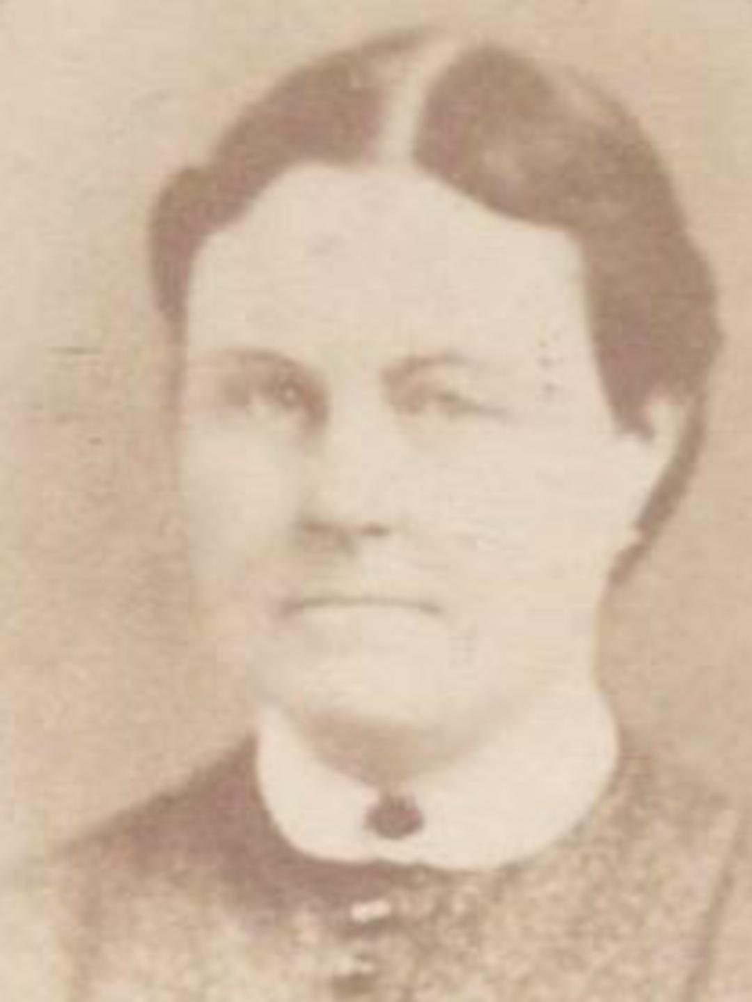Sarah Abigail Robinson (1833 - 1870) Profile